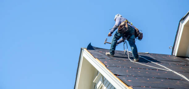 Best Flat Roof Repair Services  in Fort Benton, MT
